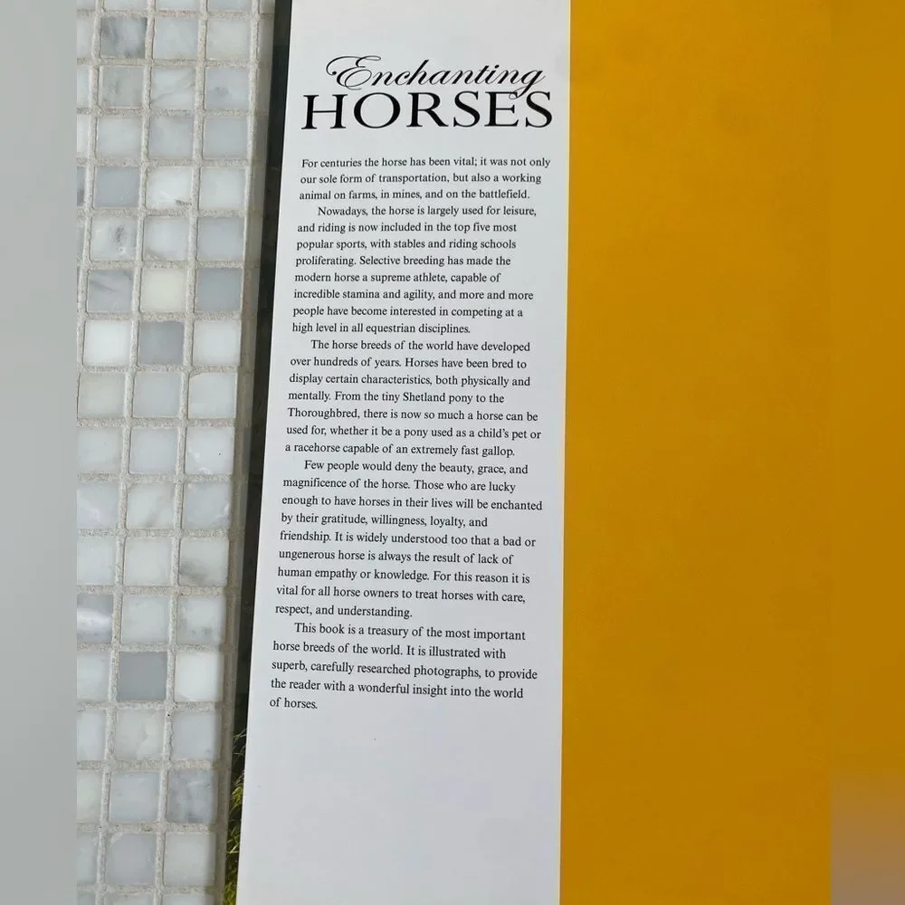 Beautiful Enchanting Horse Full Color Book 450 pages - Picture 5 of 10
